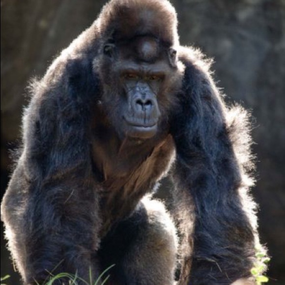 Meet your Posher, Paty - Picture 9 of 16